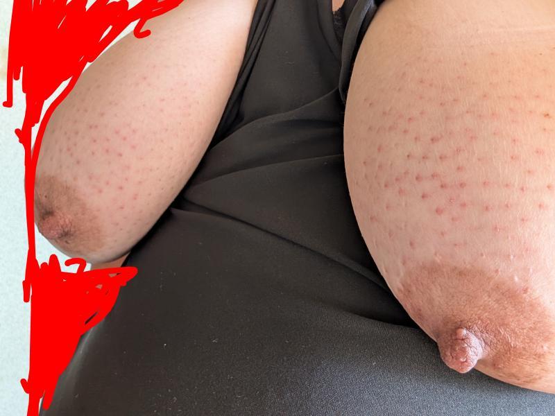 おばんざい - 愛知 カカオトーク掲示板.net